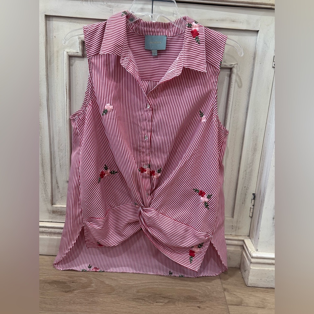 Skies Are Blue Red Striped Sleeveless Blouse with Floral Details